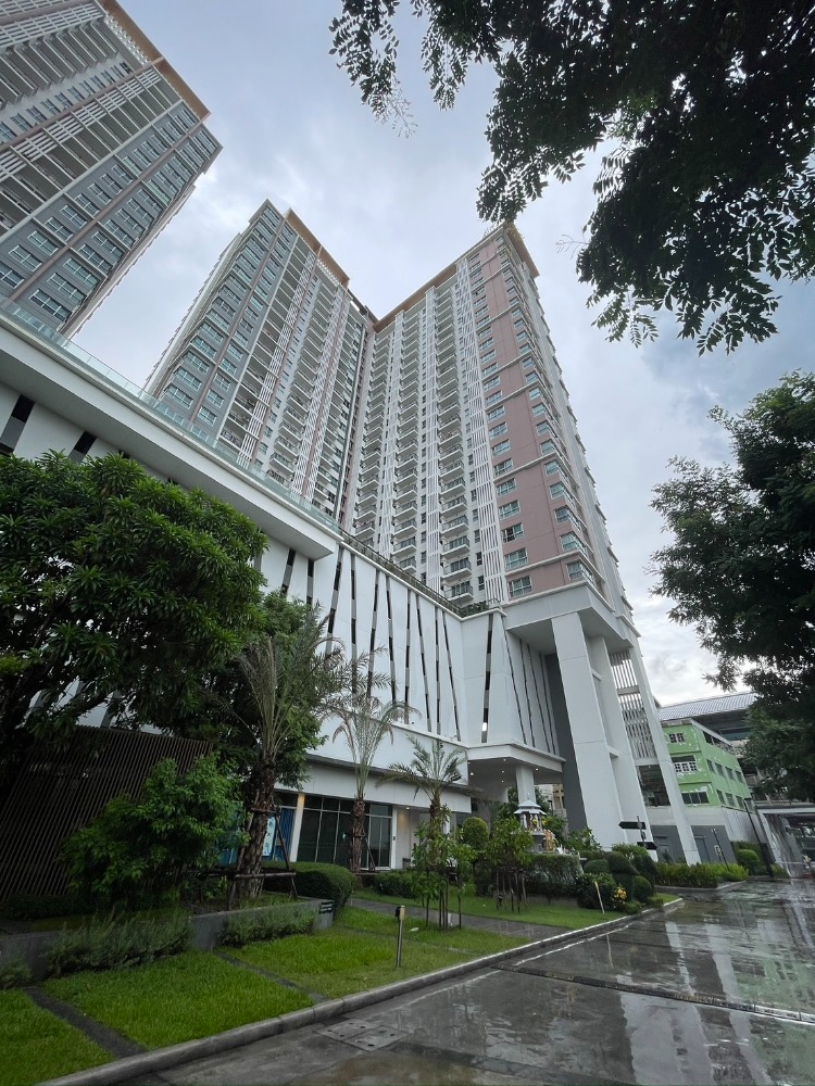 For RentCondoBang kae, Phetkasem : Rent The Parkland Phetkasem, room 35 square meters, 1 bedroom, 1 bathroom, swimming pool view, condo next to Lak Song MRT.