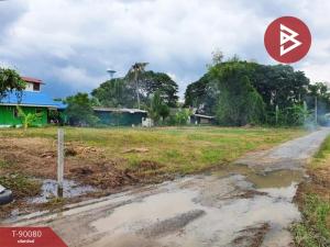 For SaleLandNakhon Pathom : Empty land for sale, area 1 ngan, Nakhon Chai Si, Nakhon Pathom