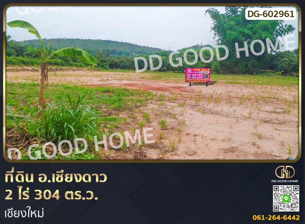 ขายที่ดินเชียงใหม่ : ที่ดิน อ.เชียงดาว 2 ไร่ 304 ตร.ว. เชียงใหม่