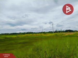 For SaleLandRayong : Land for sale, area 1 rai, Klaeng, Rayong