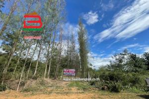 For SaleLandRatchaburi : Empty land, area 15-0-91 rai, Wang Nam Khiao Temple Intersection, Tha Khoi Temple Road, Tha Khei Subdistrict, Suan Phueng District, Ratchaburi Province.