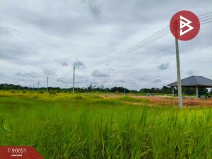 For SaleLandRayong : Land for sale, area 2 ngan 50 square meters, Klaeng, Rayong.