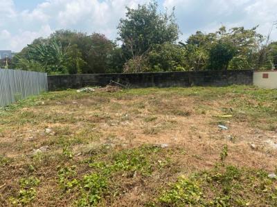 For SaleLandKasetsart, Ratchayothin : Land for sale, Soi Lat Pla Khao 62, Kaset-Nawamin, 99.1 sq m, selling below appraised price.