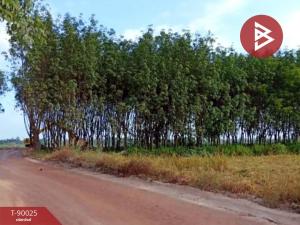 For SaleLandBueng Kan : Land for sale, 6 rai, 3 ngan, 71.3 square wa, Bueng Kan, good location next to the Mekong River