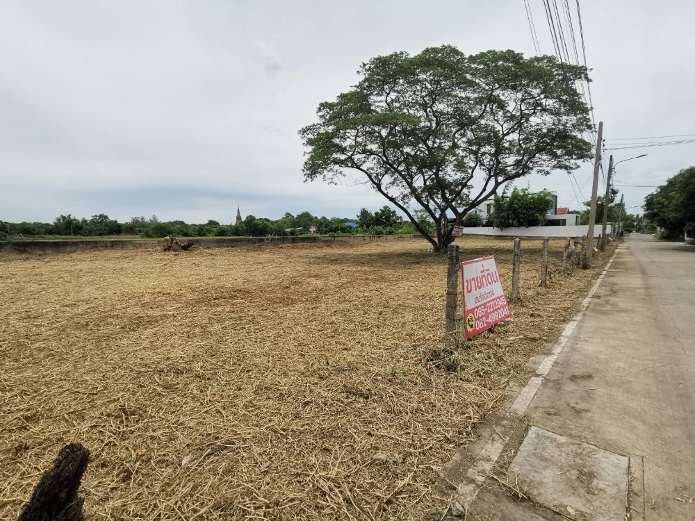 For SaleLandAyutthaya : Land for sale, 1 rai, near Wat Yai Chaimongkol, Luang Pu Khao Soi 1, near Central Ayutthaya, 5 minutes.