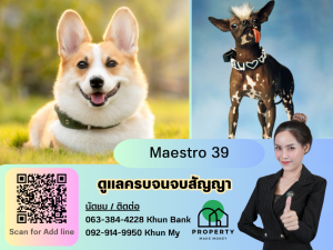 For RentCondoSukhumvit, Asoke, Thonglor : Maestro 39 is now available for rent ♥ Pet-friendly project, cheap price, close to the garden, can take the little ones for a walk.