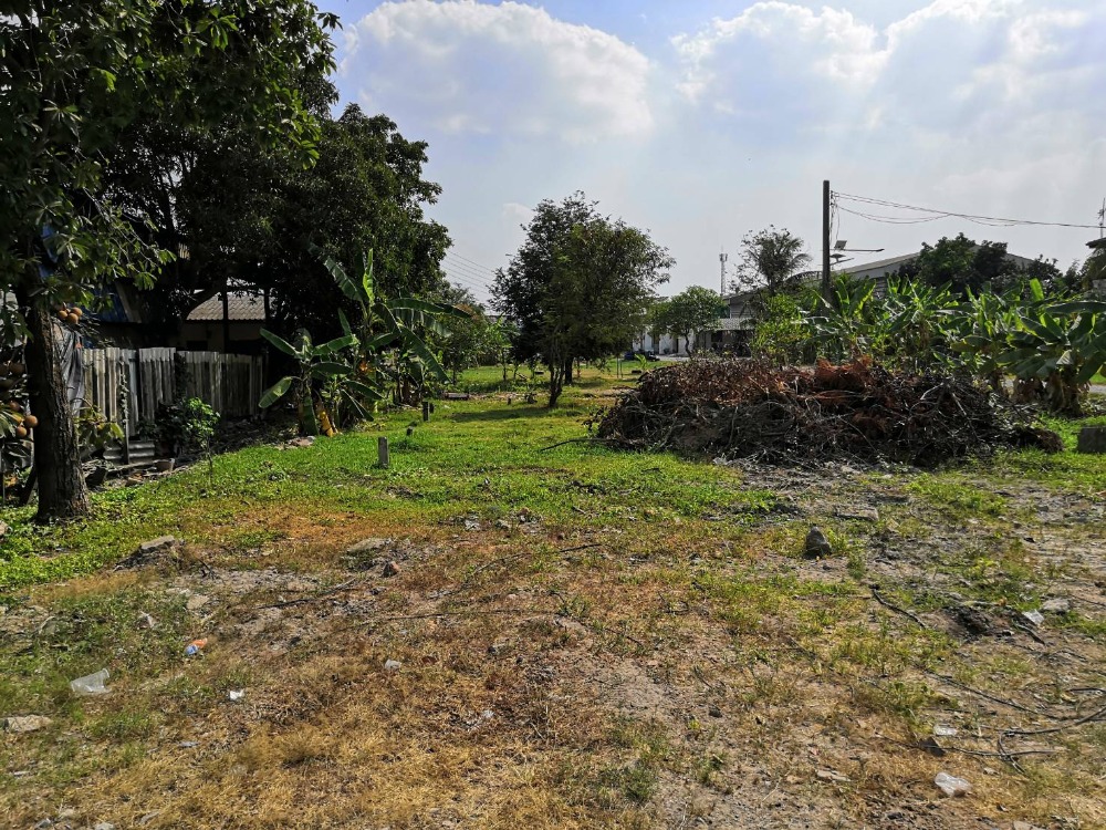 For RentLandMahachai Samut Sakhon : Land for rent, Soi Suan Luang, Setthakit Road 1, Krathum Baen District, Samut Sakhon.