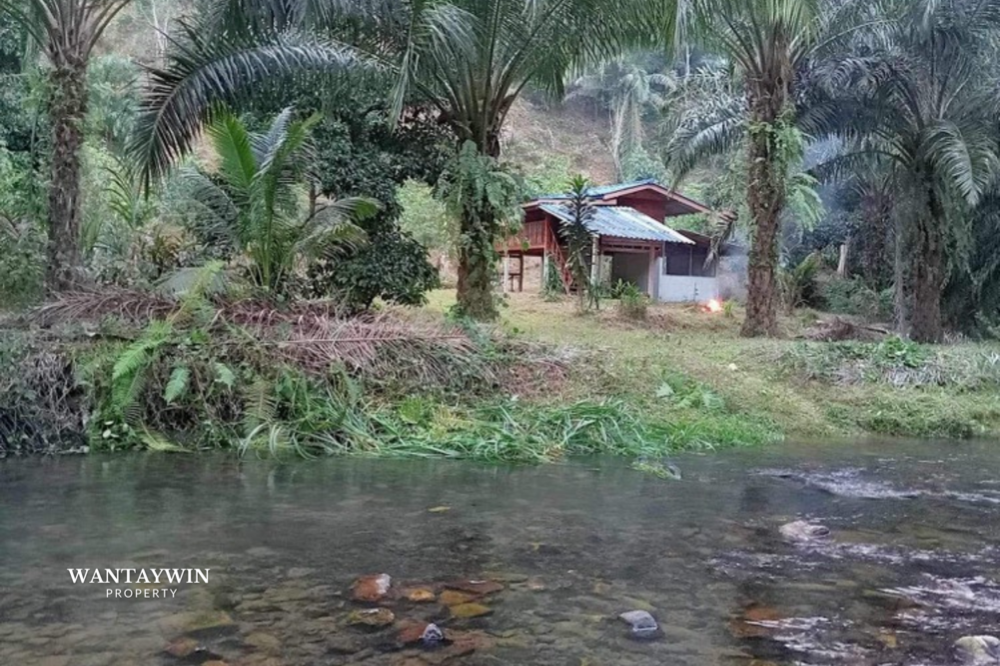 For SaleLandChumphon : Land for sale next to a stream throughout, shady, with over 200 durian trees in the area, suitable for private residences, agriculture, mountain views.