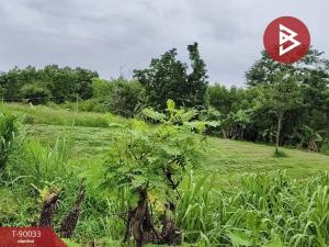 For SaleLandKorat Nakhon Ratchasima : Empty land for sale, 13 rai, 1 ngan, 3 square wah, Pak Thong Chai District, Nakhon Ratchasima.