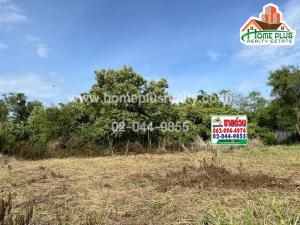 For SaleLandKorat Nakhon Ratchasima : Land near Lotus Express, Mittraphap Community Soi 4, Mueang District, Nakhon Ratchasima, area 113 square meters.