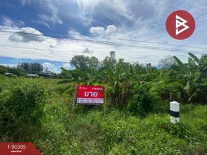 For SaleLandLop Buri : Land for sale, area 1 rai 98 square wa, Nong Muang, Lopburi.