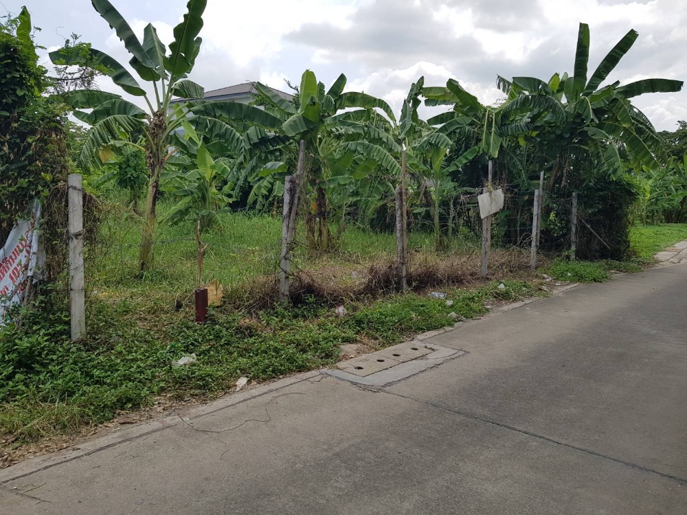 For SaleLandChokchai 4, Ladprao 71, Ladprao 48, : For sale: prime location vacant land, located next to the road, Lat Phrao District, Bangkok