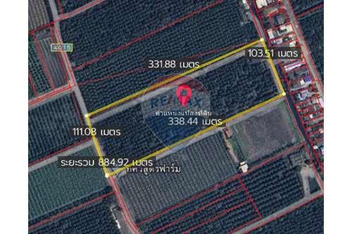 For SaleLandMahachai Samut Sakhon : Coconut plantation land for sale, Ban Phaeo, Samut Sakhon.