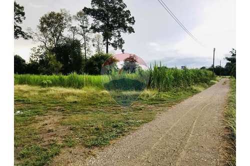 For SaleLandRatchaburi : Land For Sale 16 Rai 3 garn 30 sqm.