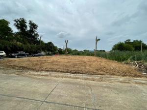 For RentLandNonthaburi, Bang Yai, Bangbuathong : Land for rent, filled in, 100 sq m, Soi Wat Lat Pla Duk, Tharn Thong Village 2, Bang Yai, Nonthaburi