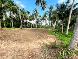 For SaleLandHuahin, Prachuap Khiri Khan, Pran Buri : 🎉Urgent sale, beautiful land next to a canal, mountain view, next to the road, has waterfront space, size 600 sq m, Thong Chai Subdistrict, Bang Saphan District, Prachuap Khiri Khan Province. Suitable for a vacation home/pool villa/resort. Very good atmos