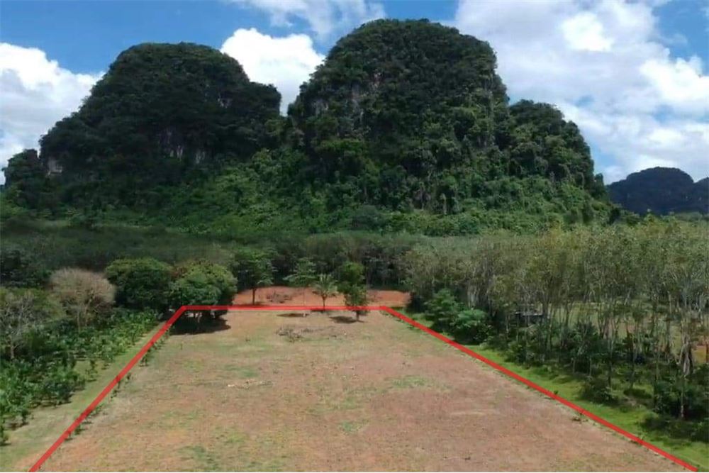 For SaleLandKrabi : Land for sale 4 Rai 1.7million baht/rai