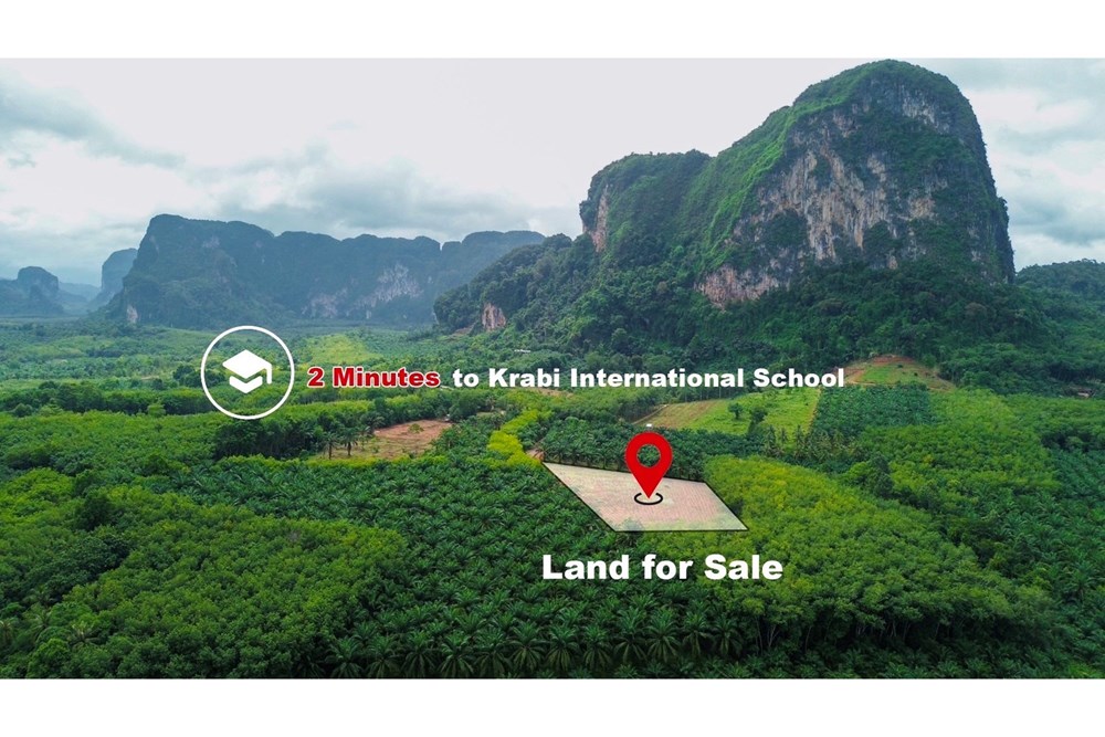 ขายที่ดินกระบี่ : Land for sale. With Stunning mountains views