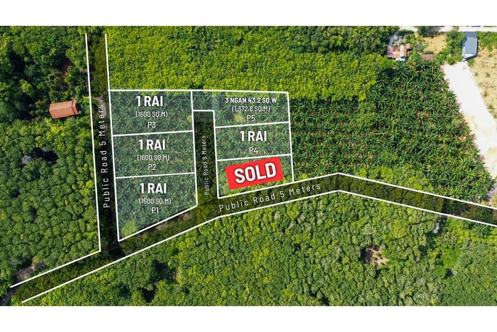 ขายที่ดินกระบี่ : Land for sale