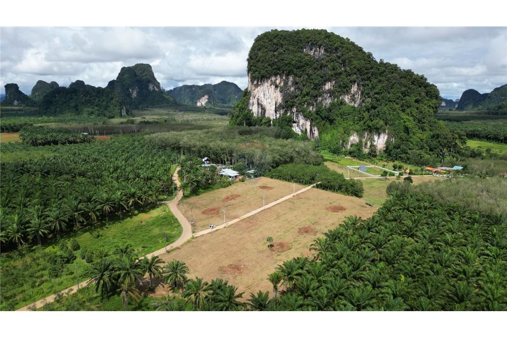 ขายที่ดินกระบี่ : Land for Sale in Nhong Thale Krabi