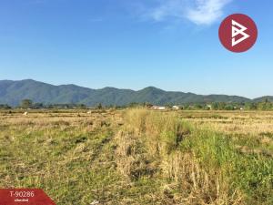 For SaleLandChiang Rai : Large vacant land for sale, area 5 rai 2 ngan 8 square wah, Ban Du, Chiang Rai.