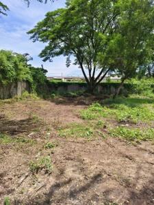 For SaleLandMin Buri, Romklao : Vacant land, good location, Ramkhamhaeng Road, Soi Ramkhamhaeng 142/1-142, Rat Phatthana Subdistrict, Saphan Sung District, Bangkok 10240