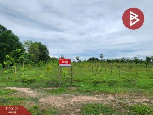 For SaleLandKanchanaburi : Empty land for sale urgently next to the road, area 4 rai 3 ngan 12 sq m, Tha Muang, Kanchanaburi.