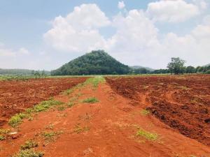 For SaleLandPak Chong KhaoYai : Land for sale, 5 rai, location Ban Nong Mak, Khlong Muang Subdistrict, Pak Chong District.