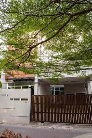 For RentHouseSukhumvit, Asoke, Thonglor : Single house for rent Located in Soi Sukhumvit 49. Single house located in Soi Sukhumvit 49.