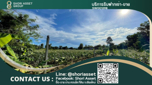 For SaleLandChiang Mai : Land and house for sale near Chedi Mae Krua Market, San Sai.