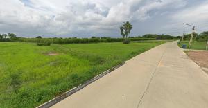 For SaleLandPattaya, Bangsaen, Chonburi : Land Soi Nong Samrong 9 Panatnikom / 18 Rai 2 Ngan (FOR SALE) ICEC040