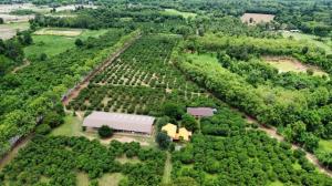 For SaleLandNan : Land for sale, Longan orchard, Fai Kaew Subdistrict, Mueang Nan District, area 69-3-23 rai, including land and reservoir, with public utilities, Solar cell energy