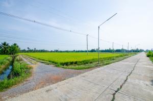 For SaleLandNakhon Pathom : Land for sale in Nakhon Pathom, Nakhon Chai Si District, beautiful location near highway projects. Bang Yai - Kanchanaburi (M81) can be extended.