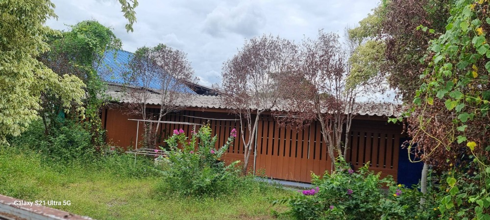 For SaleHouseLamphun : Single house for sale, size 81 square wah, suitable for renovation or renting out or living, selling for only 850,000 baht.