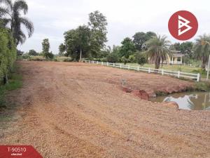 For SaleLandNakhon Pathom : Land for sale, area 2 ngan 16.4, Ban Yang, Nakhon Pathom