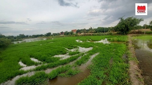 ขายที่ดินปทุมธานี รังสิต ธรรมศาสตร์ : ขายที่ดินเปล่า ลาดหลุมแก้ว ปทุมธานี