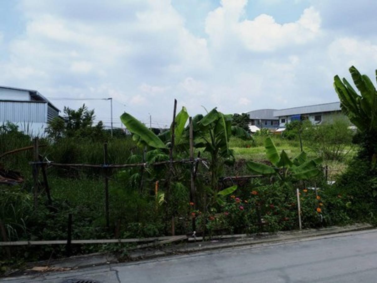 For SaleLandSamut Prakan,Samrong : Urgent sale!!! Land for sale, very cheap. Cheaper than market price. Soi Sri Dan 3/4, Bearing area, Srinakarin, 392 sq m.