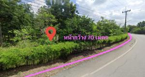 For SaleLandAyutthaya : Land for sale 1-1-61.7 rai, front on the road with a great view, back on the Pa Sak River, Tha Ruea District, Ayutthaya