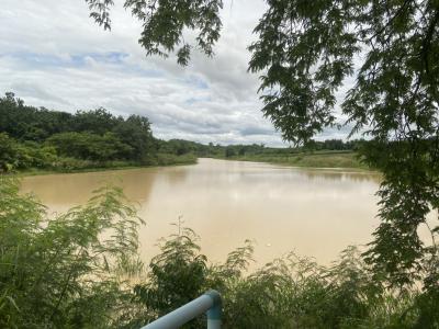 For SaleLandKanchanaburi : 16238 Land for sale, concrete road, tap water, Dan Makham Tia, Kanchanaburi 104 rai 104 rai