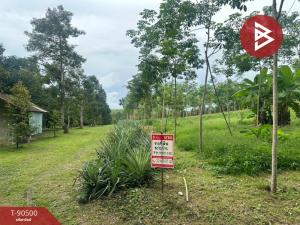 For SaleLandRayong : Land for sale with buildings, area 7 rai 1 ngan 51.2 square wa, Ka Chet, Rayong