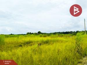 For SaleLandRayong : Land for sale, area 1 rai, Klaeng, Rayong