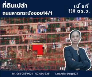 ขายที่ดินสมุทรปราการ สำโรง : ขายที่ดินเปล่า ถนนลาดกระบังซอย14/1 เนื้อที่ 300ตารางวา ใกล้โรบินสันลาดกระบัง ตำบลราชาเทวะ อำเภอบางพลี สมุทรปราการ