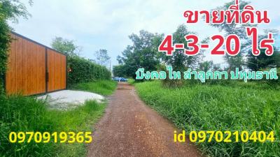 ขายที่ดินปทุมธานี รังสิต ธรรมศาสตร์ : ขาย ที่ดิน สวนเกษตร 4 ไร่ 3 งาน 20 ตร.วา บึงคอไห ลำลูกกา ปทุมธานี