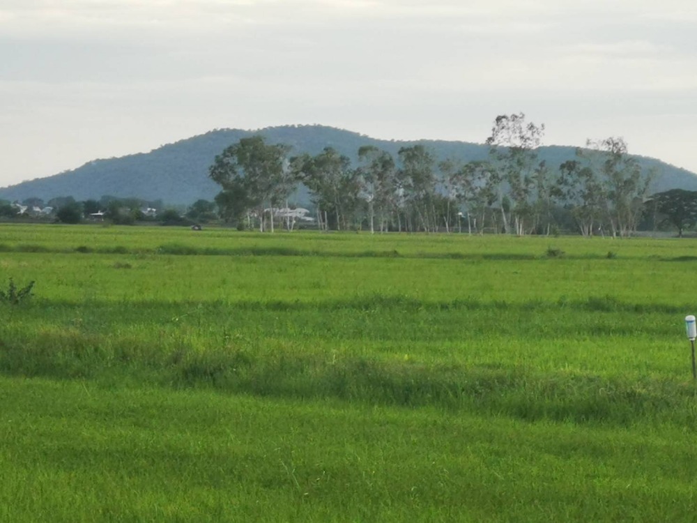 ขายที่ดินสุพรรณบุรี : ขายที่ดิน พร้อมสิ่งปลูกสร้าง ต.หนองโอ่ง อ.อู่ทอง จ.สุพรรณบุรี