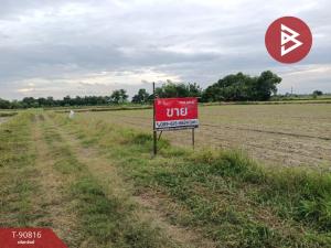 For SaleLandSaraburi : Land for sale for farming, area 5 rai, Huai Pawa Subdistrict, Phra Phutthabat District, Saraburi Province