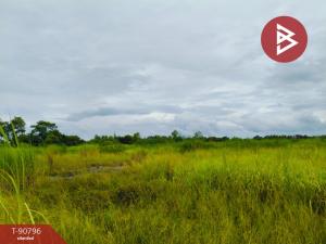 For SaleLandRayong : Land for sale, 2 plots, area 1 rai 1 ngan, Klaeng, Rayong