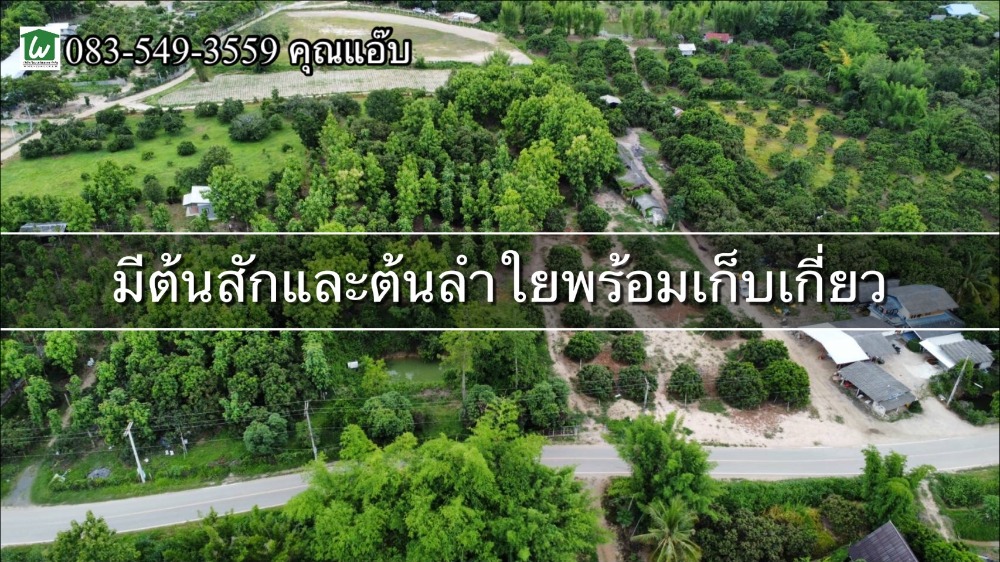 ขายที่ดินเชียงใหม่ : ขายที่ดินสวนเกษตร เนื้อที่ 4-0-24.3 ไร่ ต.ดอนเปา อ.แม่วาง จ.เชียงใหม่