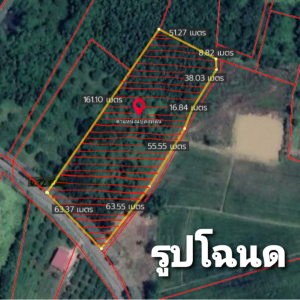 For SaleLandPhetchabun : Beautiful land for sale, good view, good air, Ban Nangua, Phetchabun, near the way up to Khao Kho