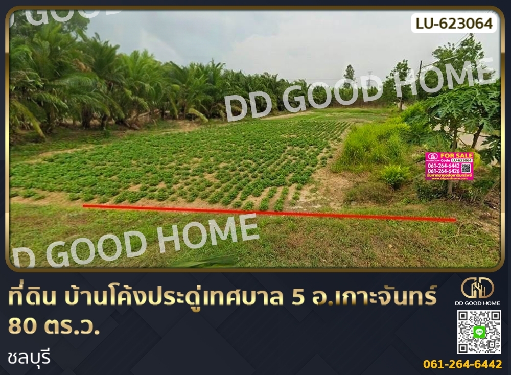 ขายที่ดินพัทยา บางแสน ชลบุรี สัตหีบ : ที่ดิน บ้านโค้งประดู่เทศบาล 5 อ.เกาะจันทร์ 80 ตร.ว. ชลบุรี