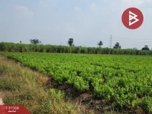 For SaleLandNakhon Pathom : Land for sale, area 7 rai 2 ngan 40 square wa, Kamphaeng Saen, Nakhon Pathom